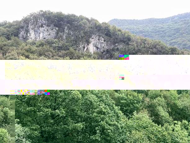 白雲岩