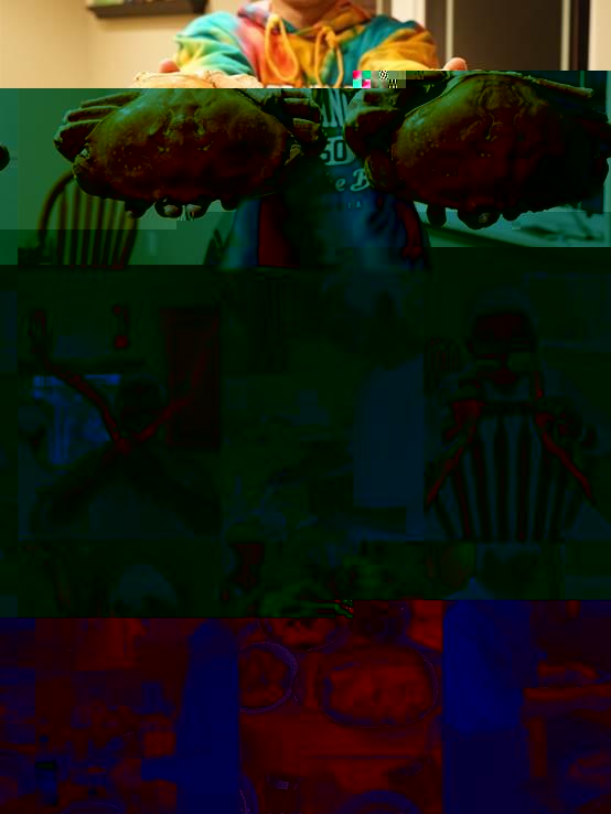 clip_image010.jpg