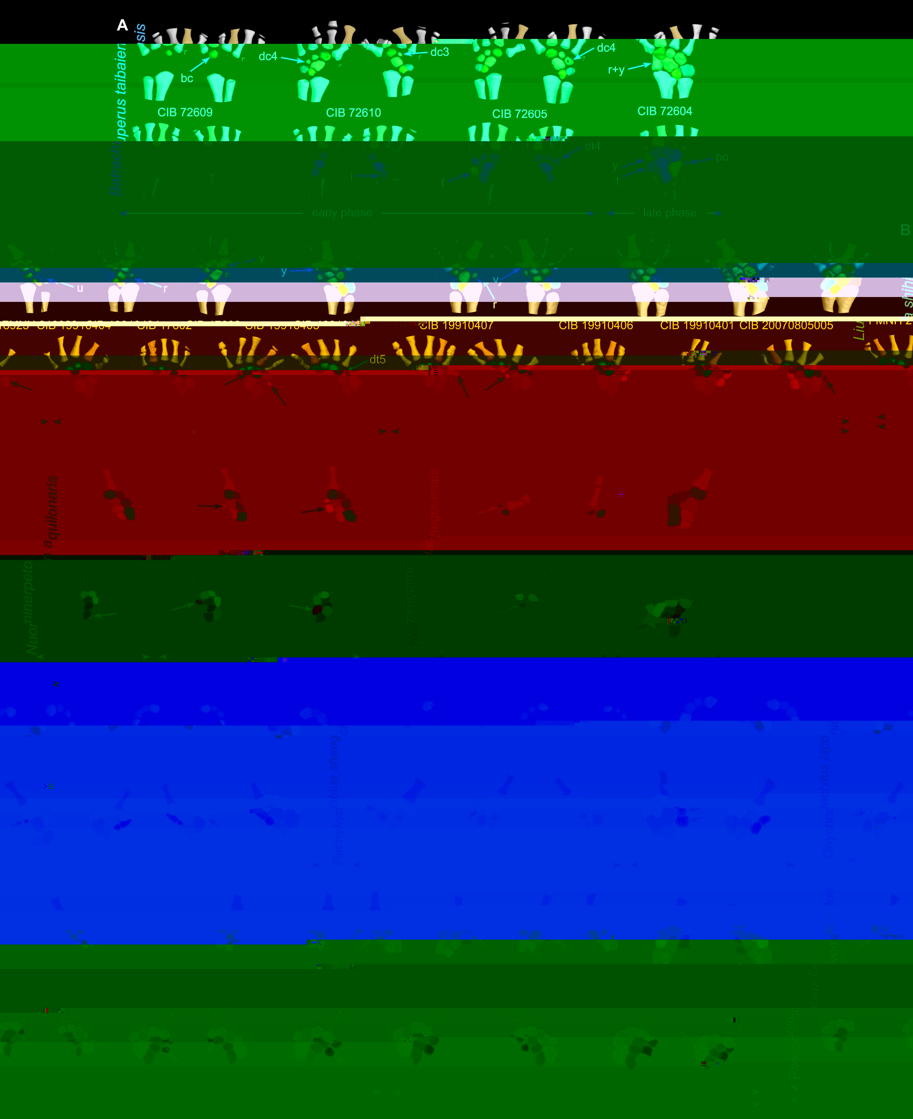 EB807