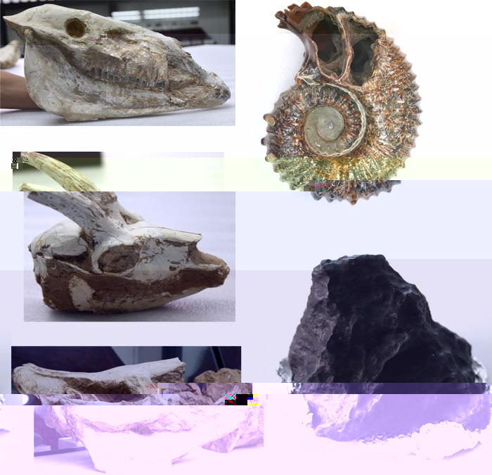 0¾èÏױ걾£¨²¿·֣©.jpg