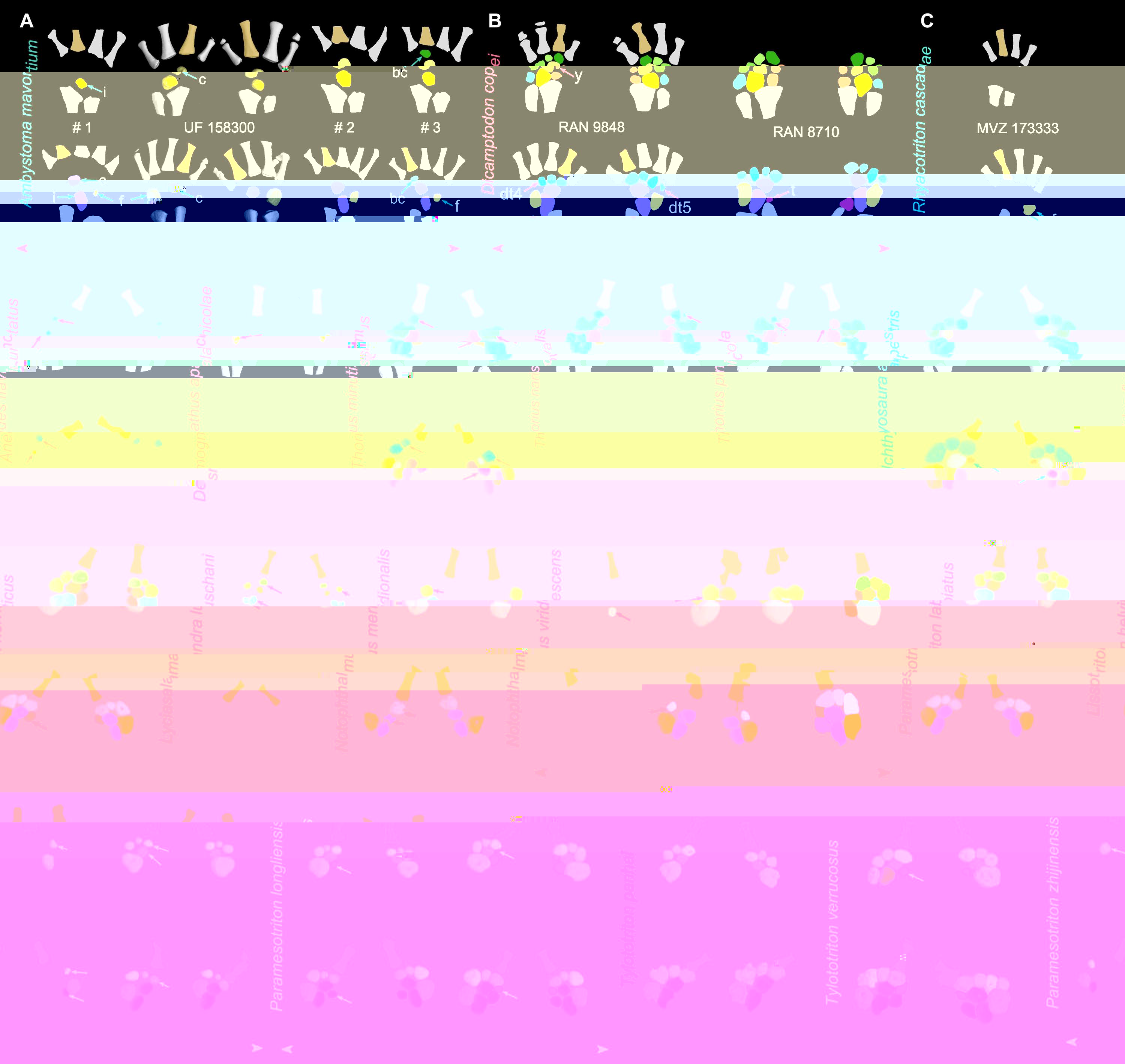 C871F